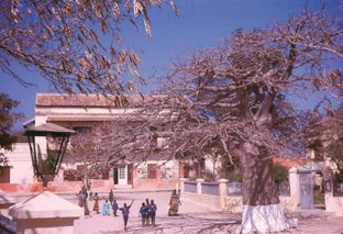 Gor&eacute;e : place du Gouvernement