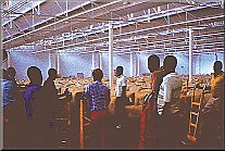 L'industrie du Tabac au Malawi