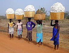 Le coton, c'est une affaire de famille