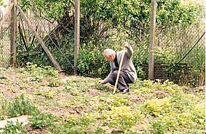 Dans le jardin de Bry-sur-Marne